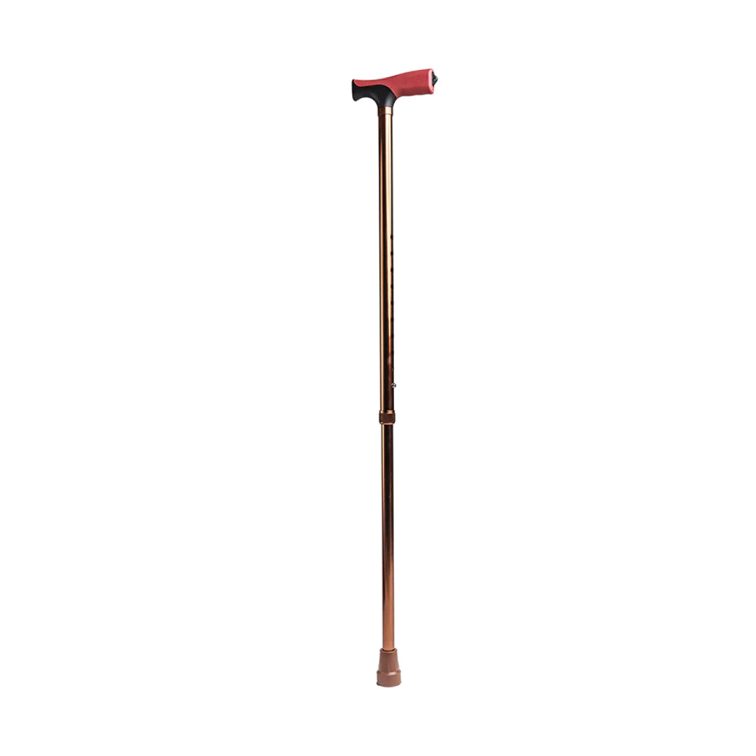 ARREX MS50 WALKING STICK