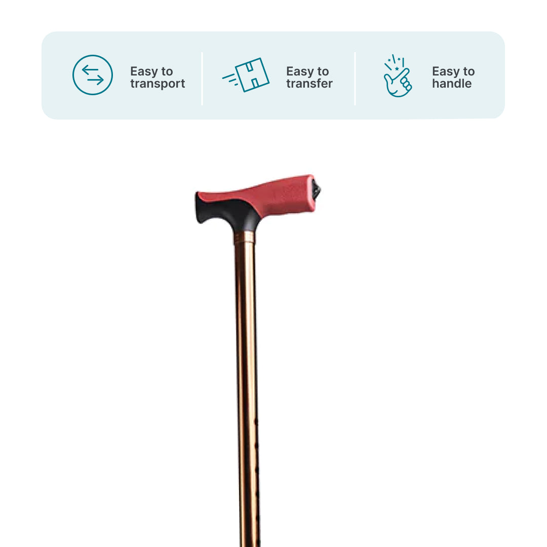 ARREX MS50 WALKING STICK