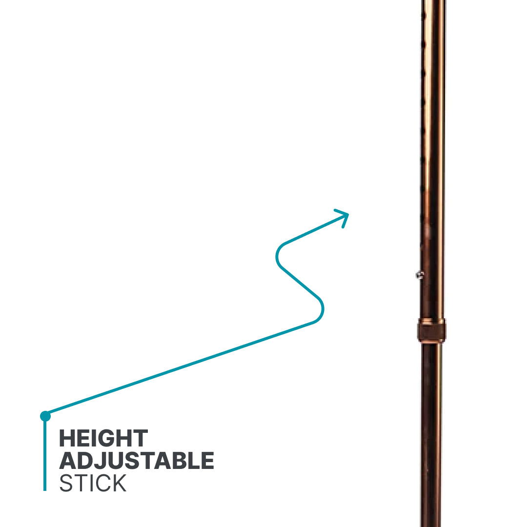 ARREX MS50 WALKING STICK