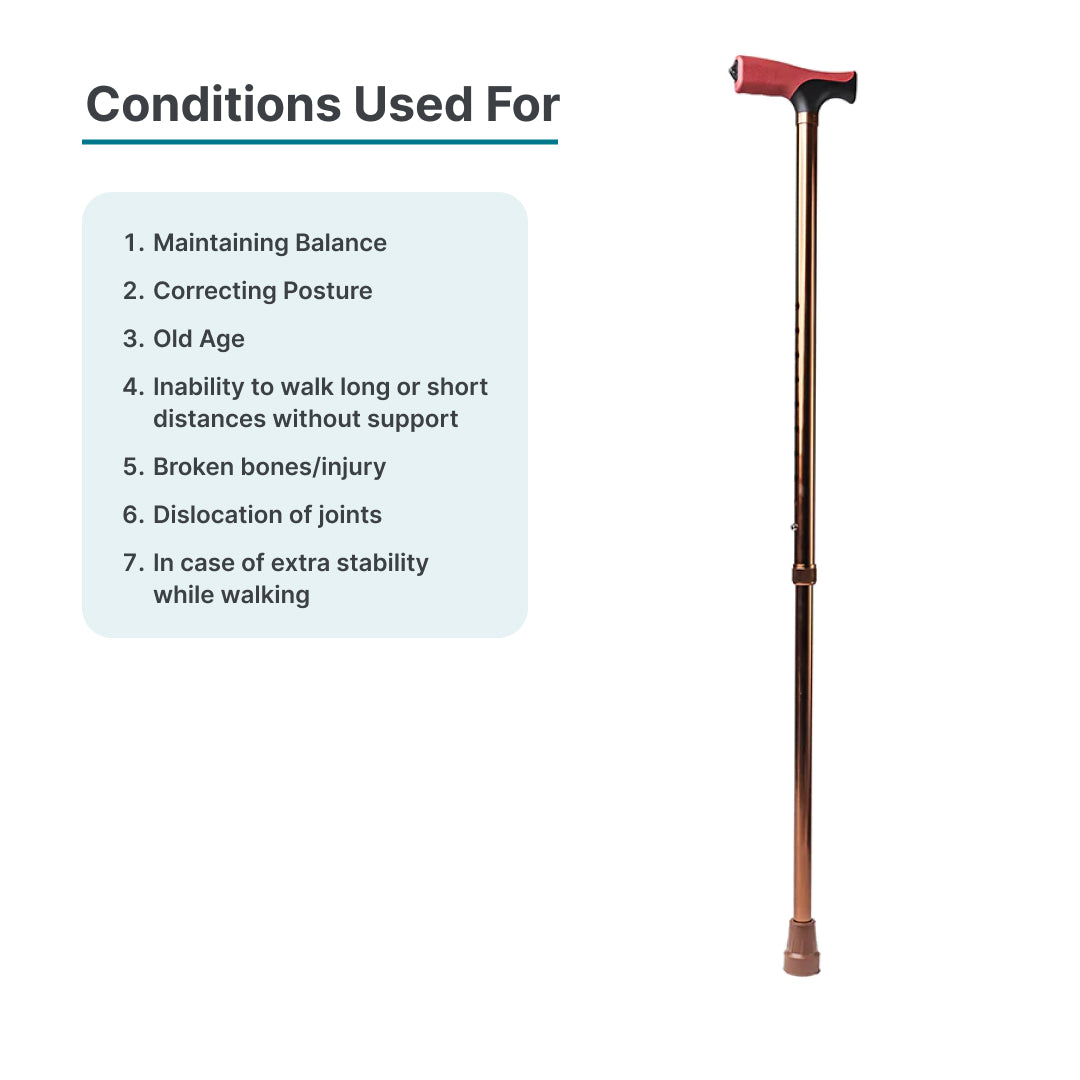 ARREX MS50 WALKING STICK