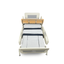 ARREX JANE HOSPITAL 5 FUNCTION BED