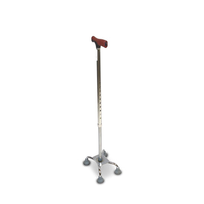 ARREX MS80 WALKING STICK