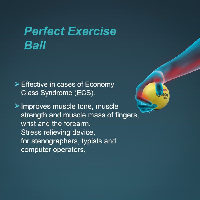 TYNOR H-05 EXERCISING BALL PU, YELLOW