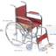 ARREX ELMO WHEELCHAIR - FOR KIDS AND YOUNG ADULT