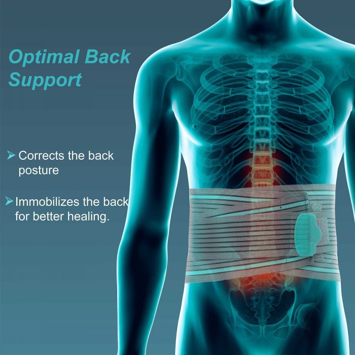 TYNOR A-05 LUMBO SACRAL BELT
