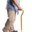 ARREX MS310 WALKING STICKS