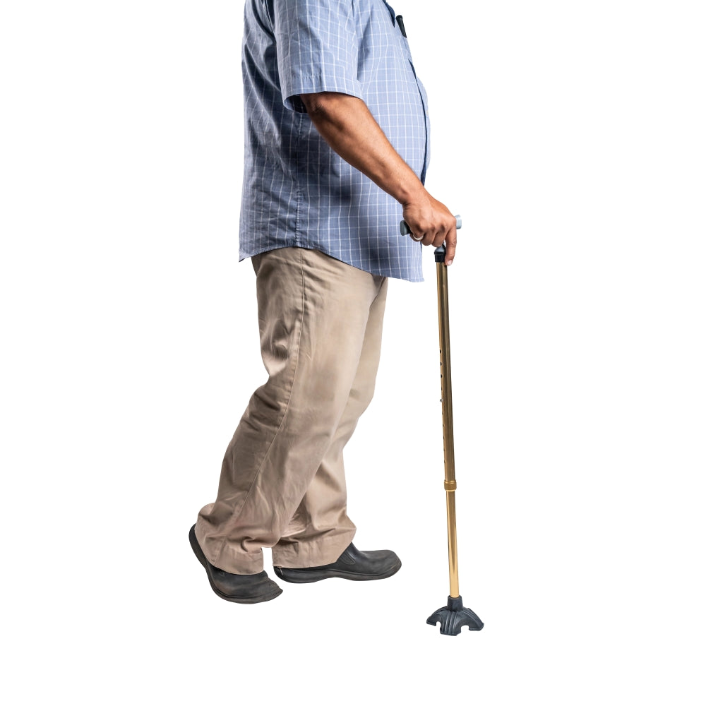 ARREX MS350 WALKING STICKS