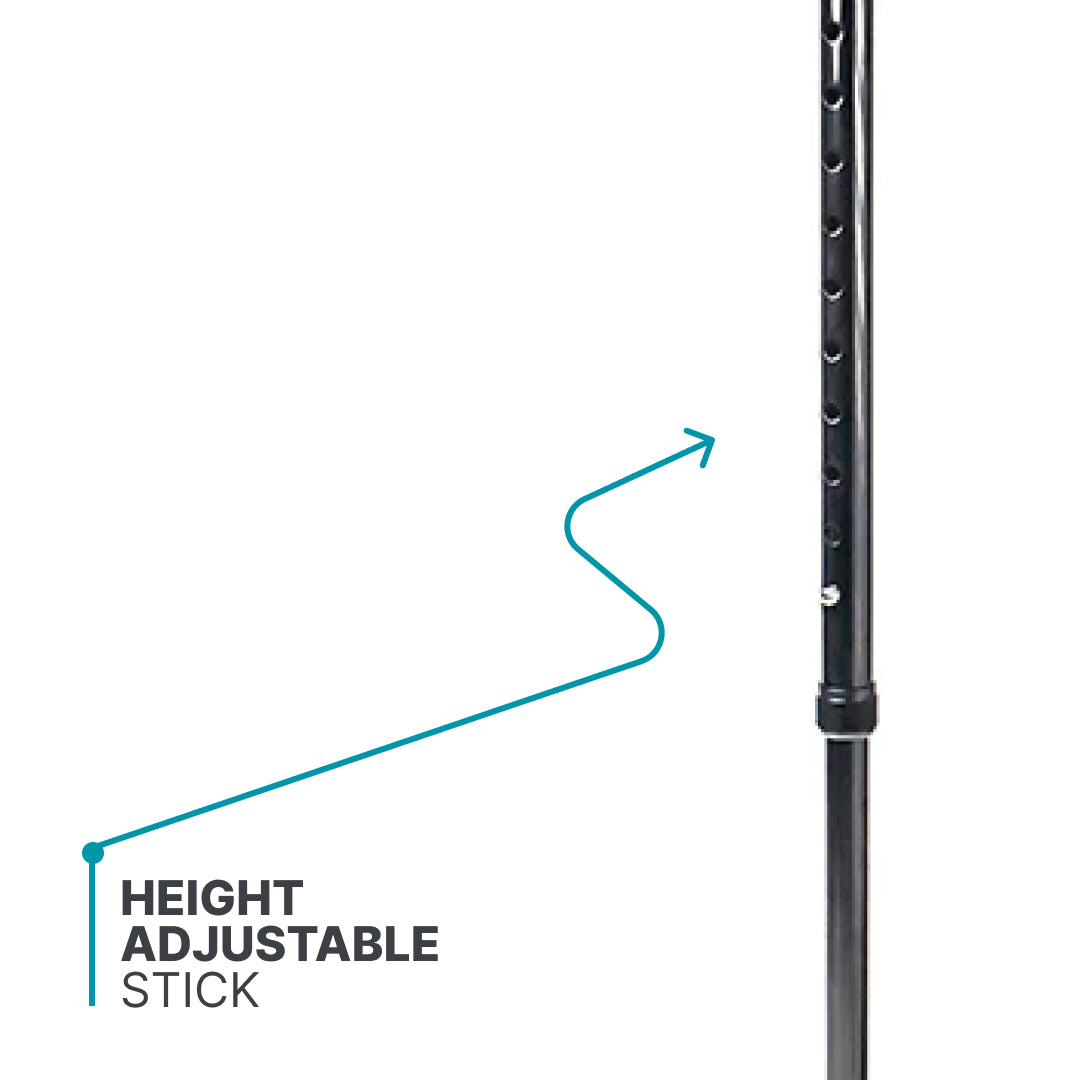 ARREX MS40 WALKING STICK